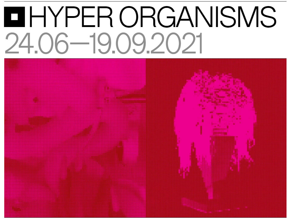 photo de Hyper Organisms Collective exhibition